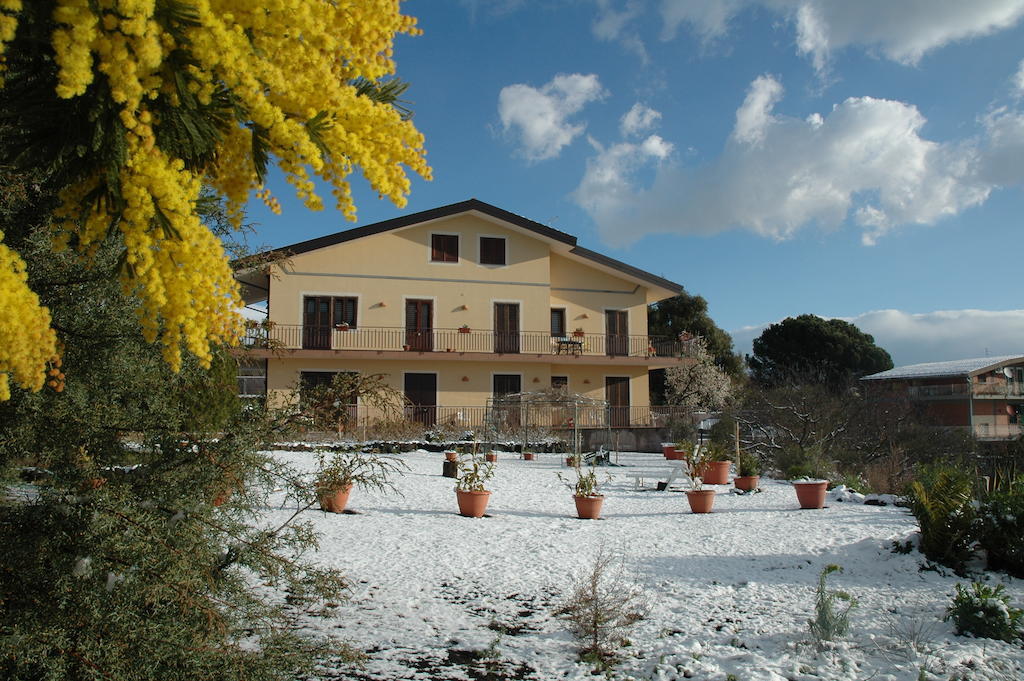 Etna Torre Del Grifo Bed and Breakfast Mascalucia Eksteriør billede